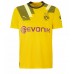 Borussia Dortmund Sebastien Haller #9 Tredje Tröja 2022-23 Kortärmad